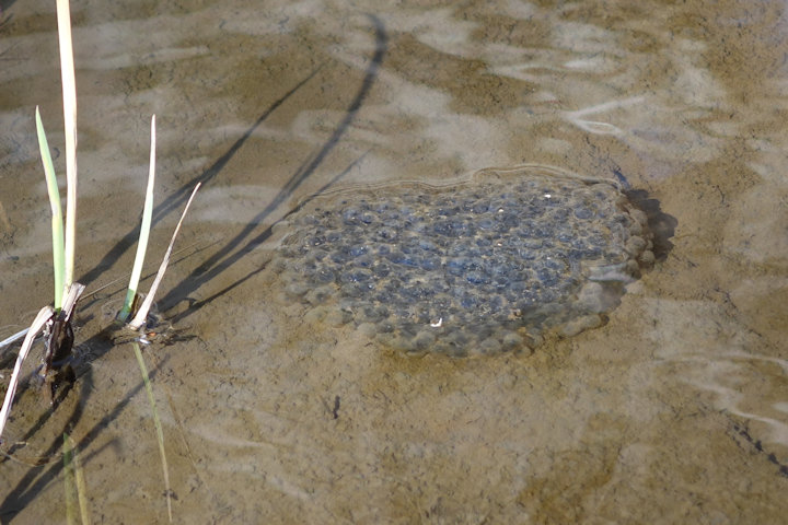 �j�z���A�J�K�G��